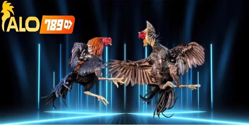 Tốc Độ Truyền Tải Ổn Định Và Mượt Mà Tại Alo789 Đá Gà Trực Tiếp